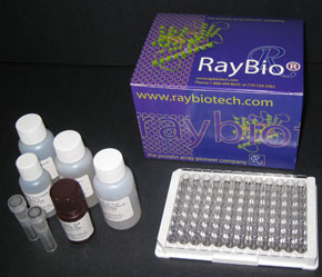 最新供應 第2頁 - 最新供應 - 廣州瑞博奧生物科技 - 丁香通