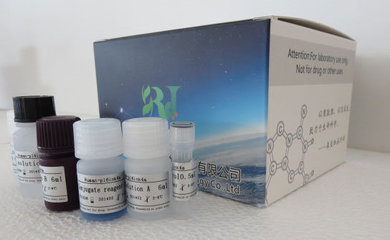 人包膜蛋白gp120(Gp120)ELISA試劑盒廠家_南京森貝伽生物科技_丁香通