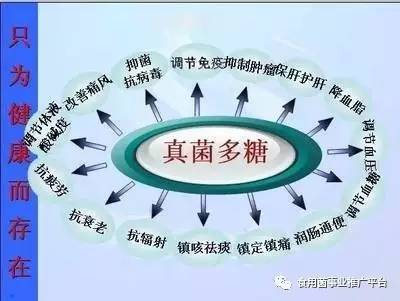 營養(yǎng)是怎樣調(diào)理疾病的